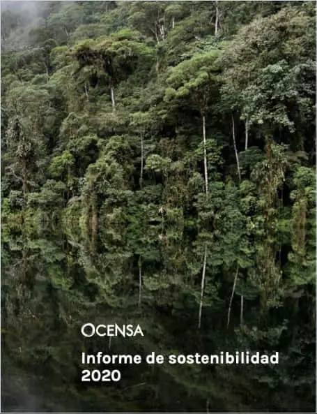 Informe 2020