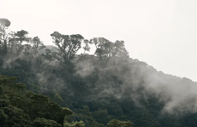 Ecosistemas 2
