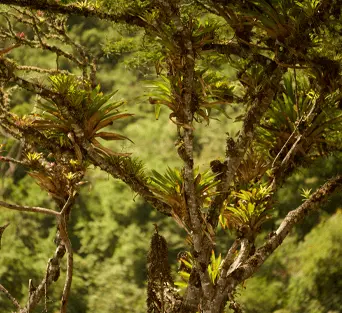 Ecosistemas 3